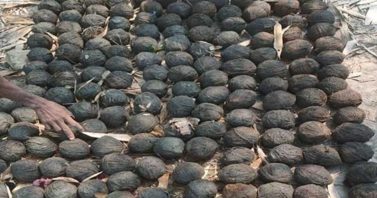 150 crude bombs found in West Bengal's Bhatpara, defused